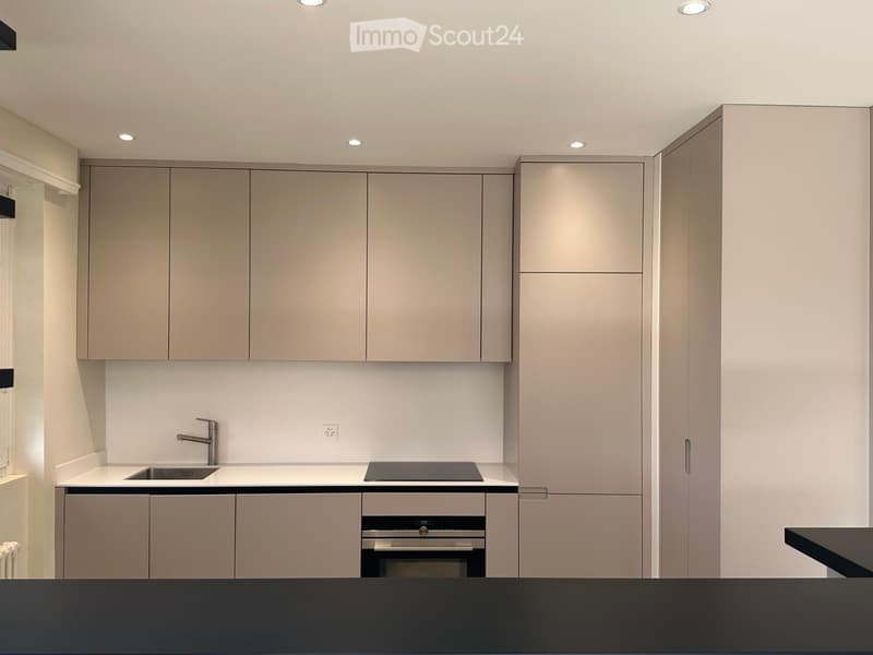 Luxueux appartement de 2,5 pces (2)