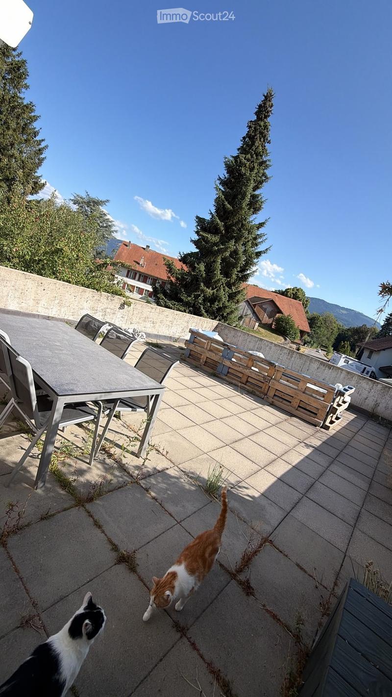 Appartement à louer (1)