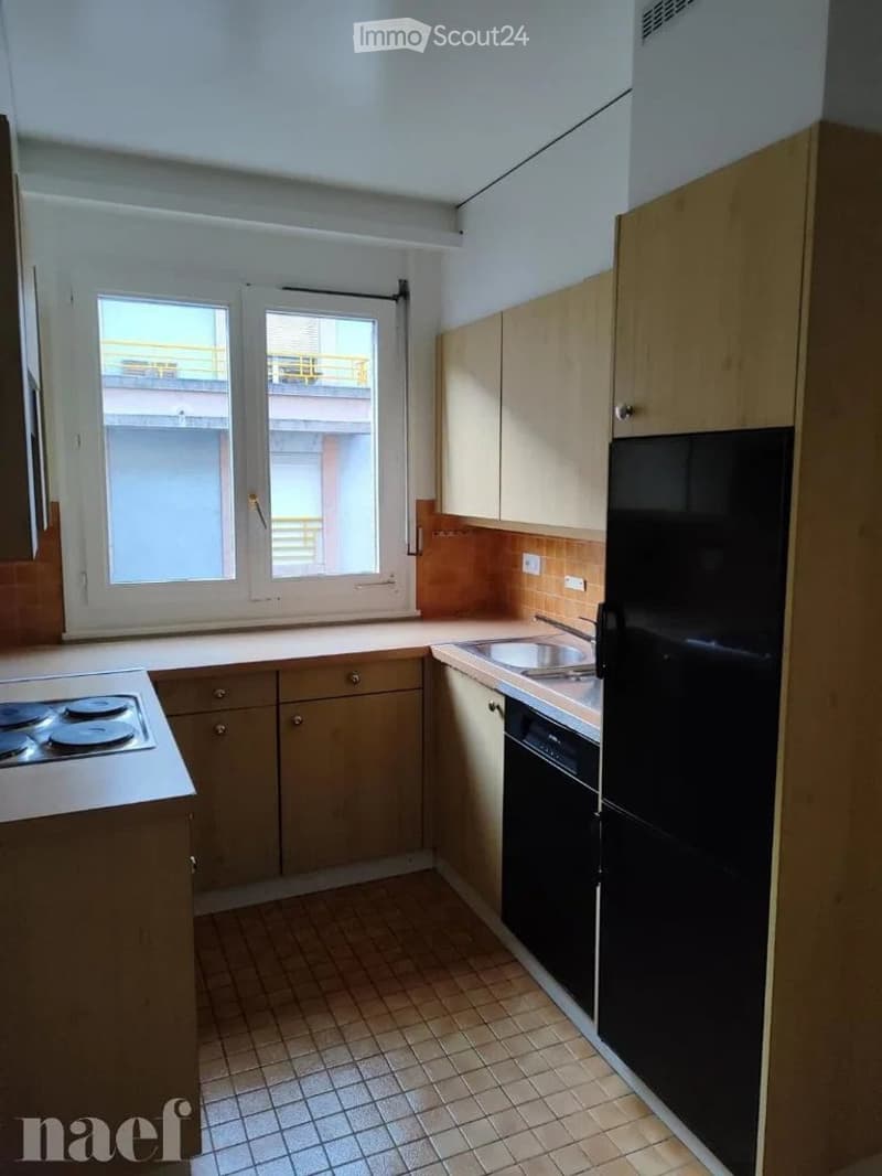 Joli apartment with 4 pieces - 3rd floor and Eaux-Vives (3)