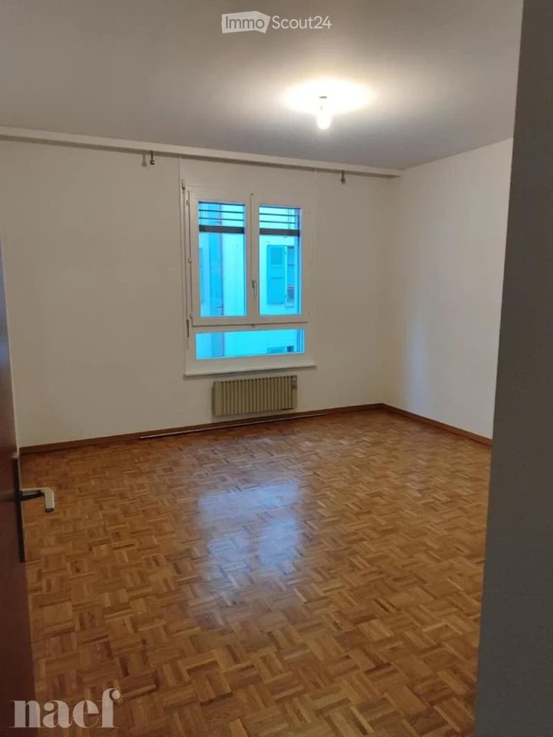 Joli apartment with 4 pieces - 3rd floor and Eaux-Vives (2)
