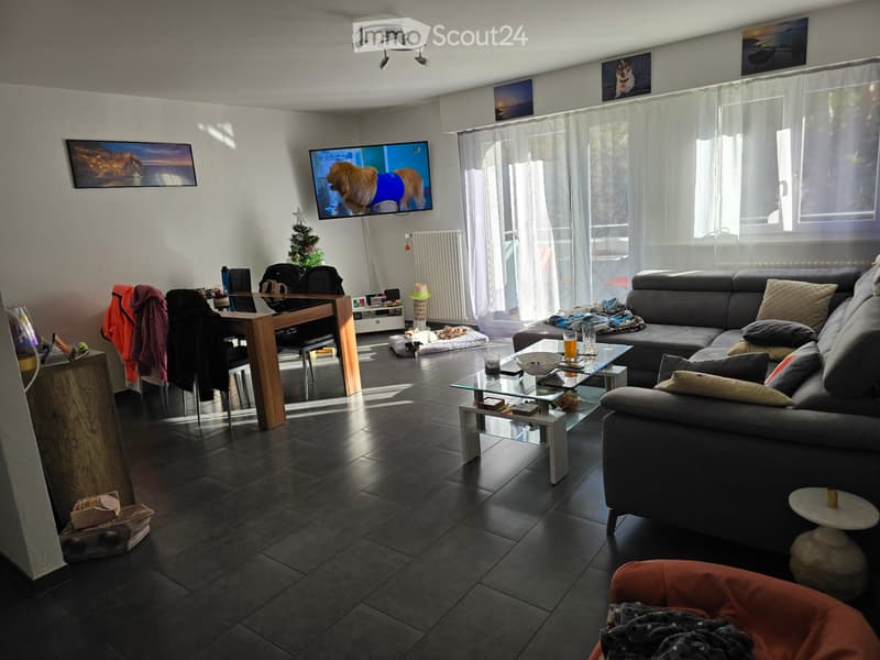 Appartement 3,5 pièces à louer (4)