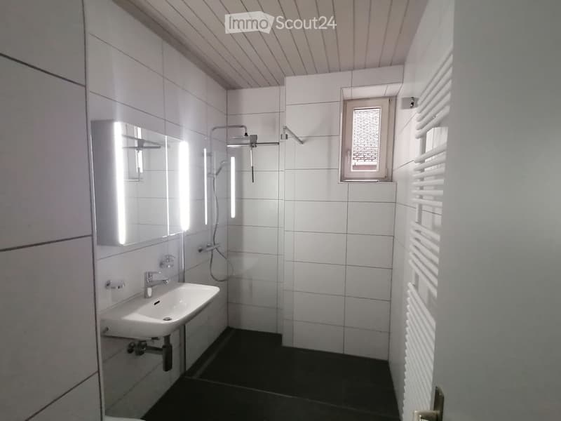 Appartement 3 1/2 pièces (3)