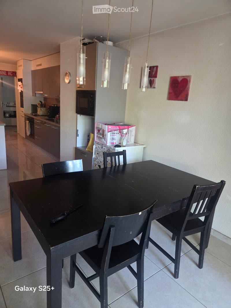 Appartement avec terrasse (4)