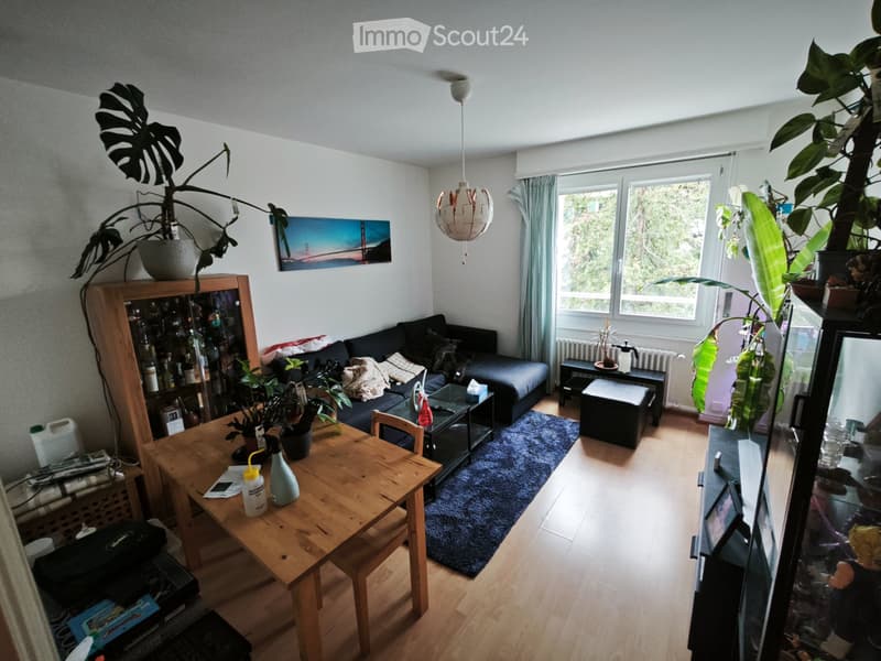 Reprise de bail : Appartement 3.5 pièces Prilly Centre (1)
