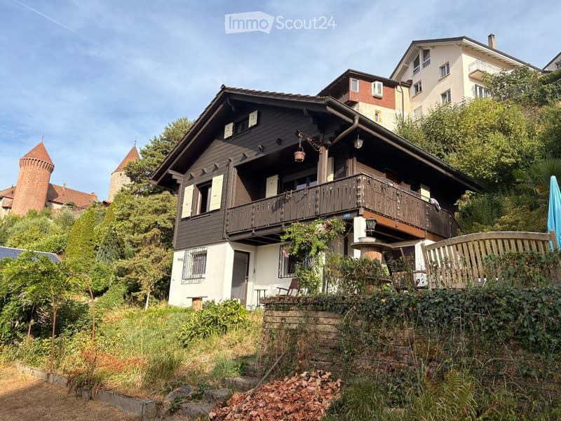 Magnifique chalet avec très grand jardin, proche de tout (2)