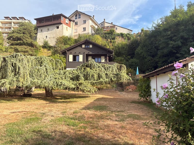 Magnifique chalet avec très grand jardin, proche de tout (1)