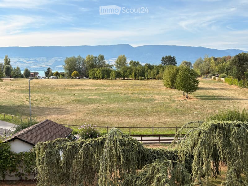 Magnifique chalet avec très grand jardin, proche de tout (4)