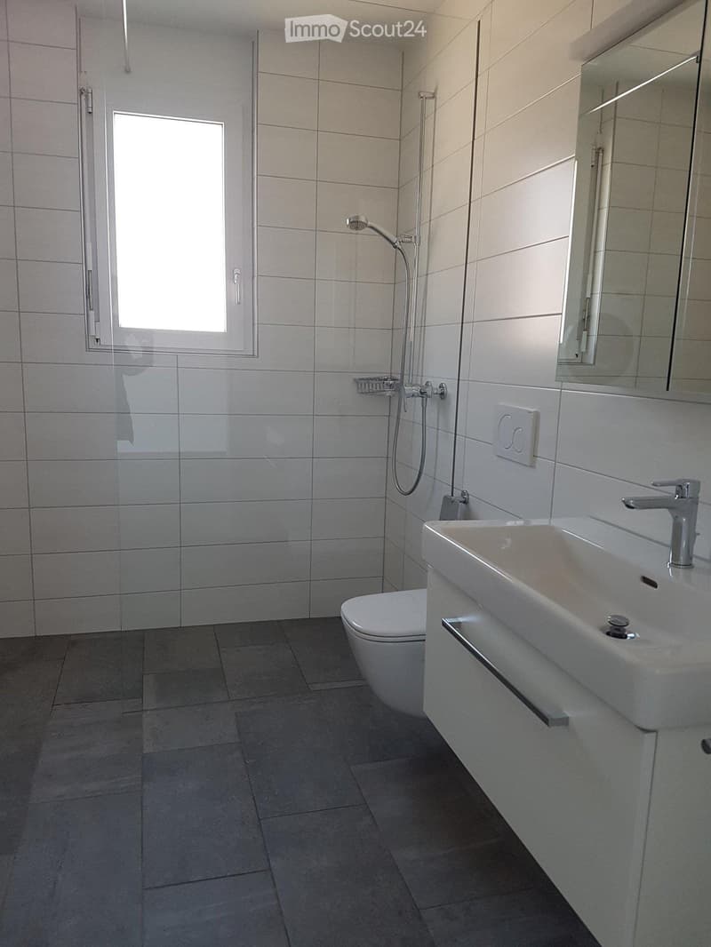 Location Attique Bienne, 3.5 pieces pour le 1er novembre (5)