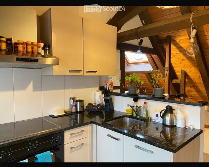 Ruhige Wohnung im Grünen (4)