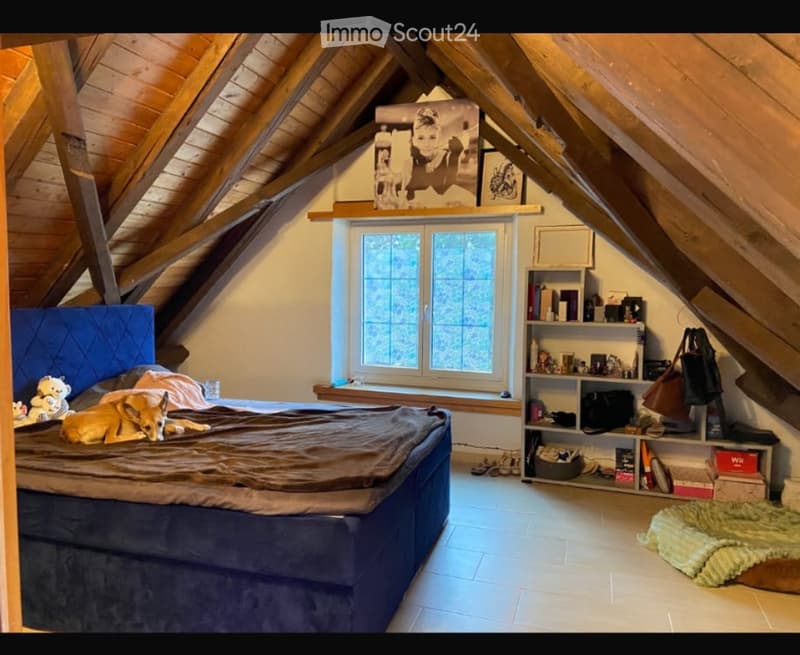 Ruhige Wohnung im Grünen (5)