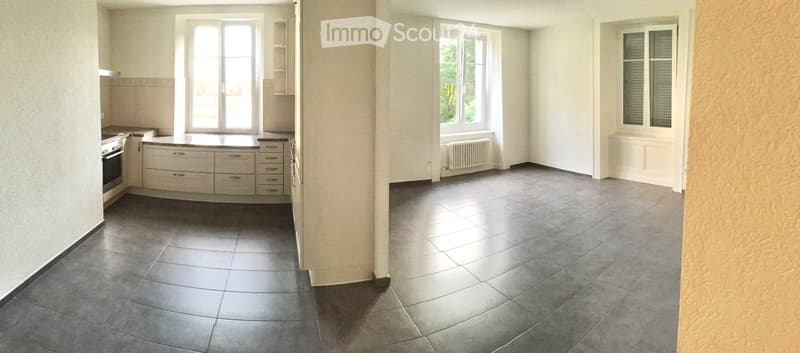 Appartement de 4.5 pcs (1)