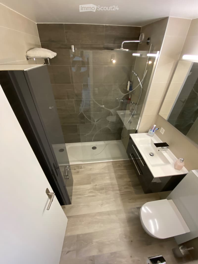 Super studio 1.5 pcs rénové, balcon, parking, Vue des Alpes (12)
