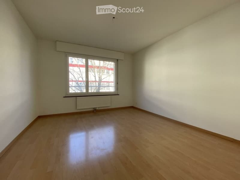 Charmante 3-Zimmer-Wohnung mit Balkon in Schaffhausen (3)