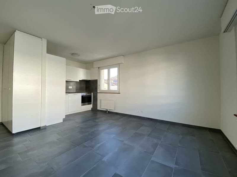 Charmante 3-Zimmer-Wohnung mit Balkon in Schaffhausen (2)