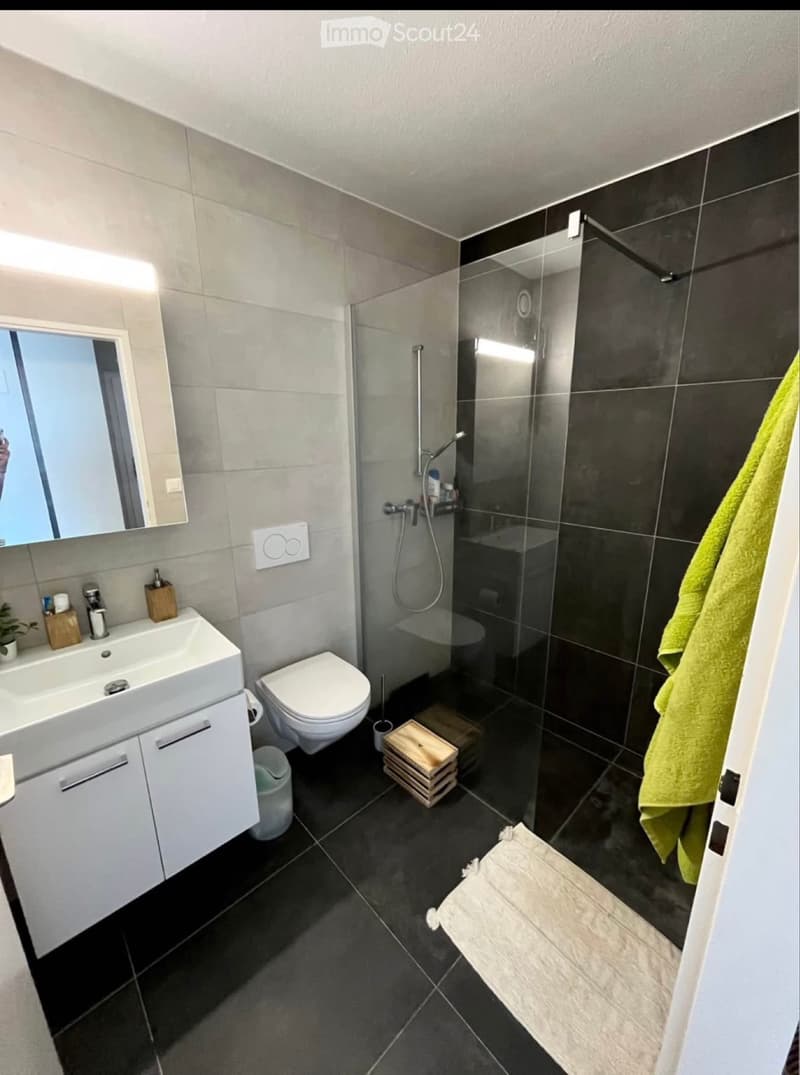 Appartement avec magnifique vue sur le lac et les Alpes (3)