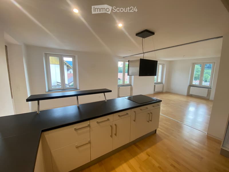 Appartement avec grande terrasse à louer (6)