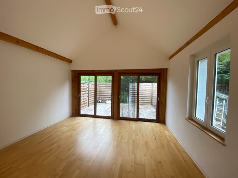 Appartement avec grande terrasse à louer (4)
