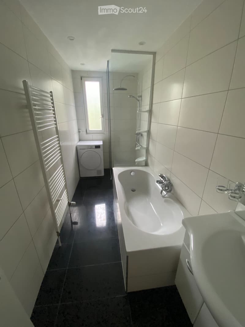 Appartement avec grande terrasse à louer (1)