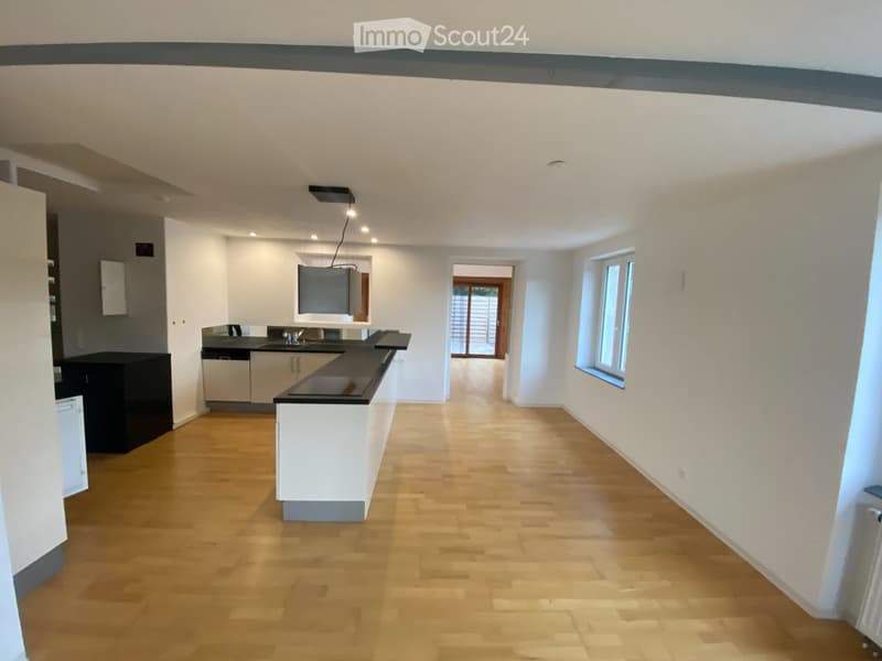 Appartement avec grande terrasse à louer (3)