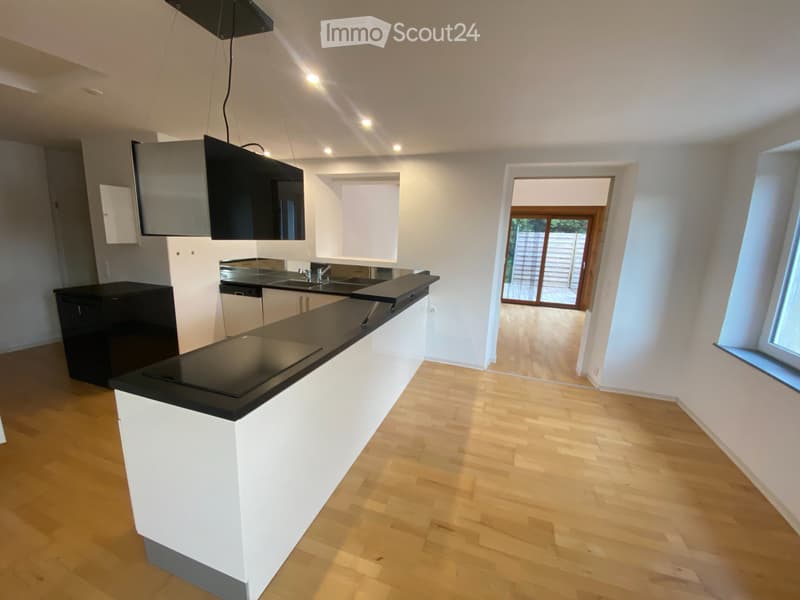 Appartement avec grande terrasse à louer (5)