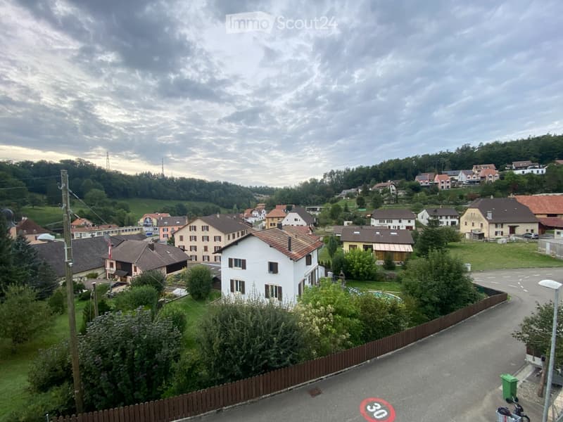 Appartement avec grande terrasse à louer (7)
