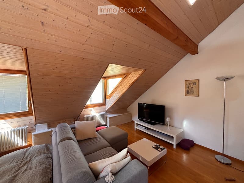 Appartement en sous-location pour 6 mois (3)