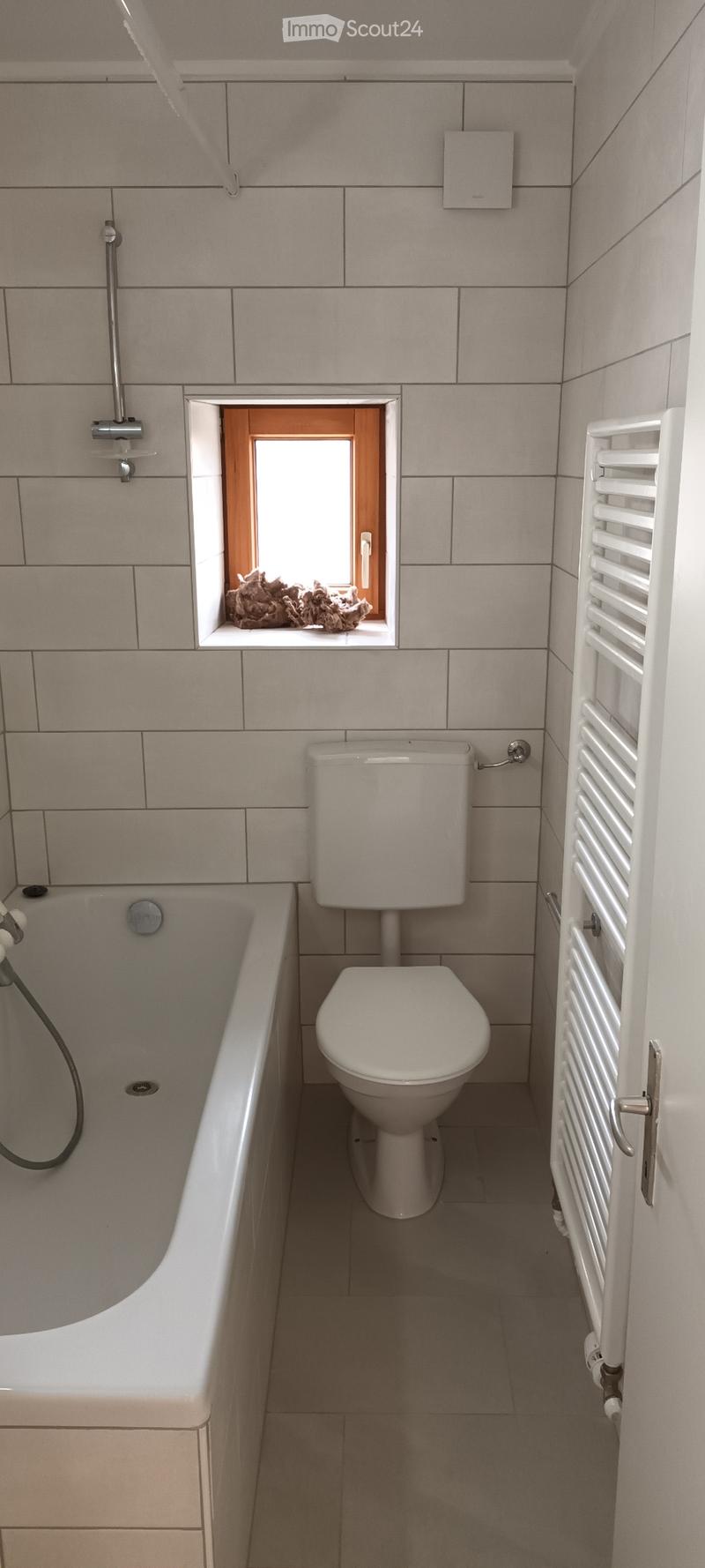 Appartement 3.5pcs rénové en 2023 (4)