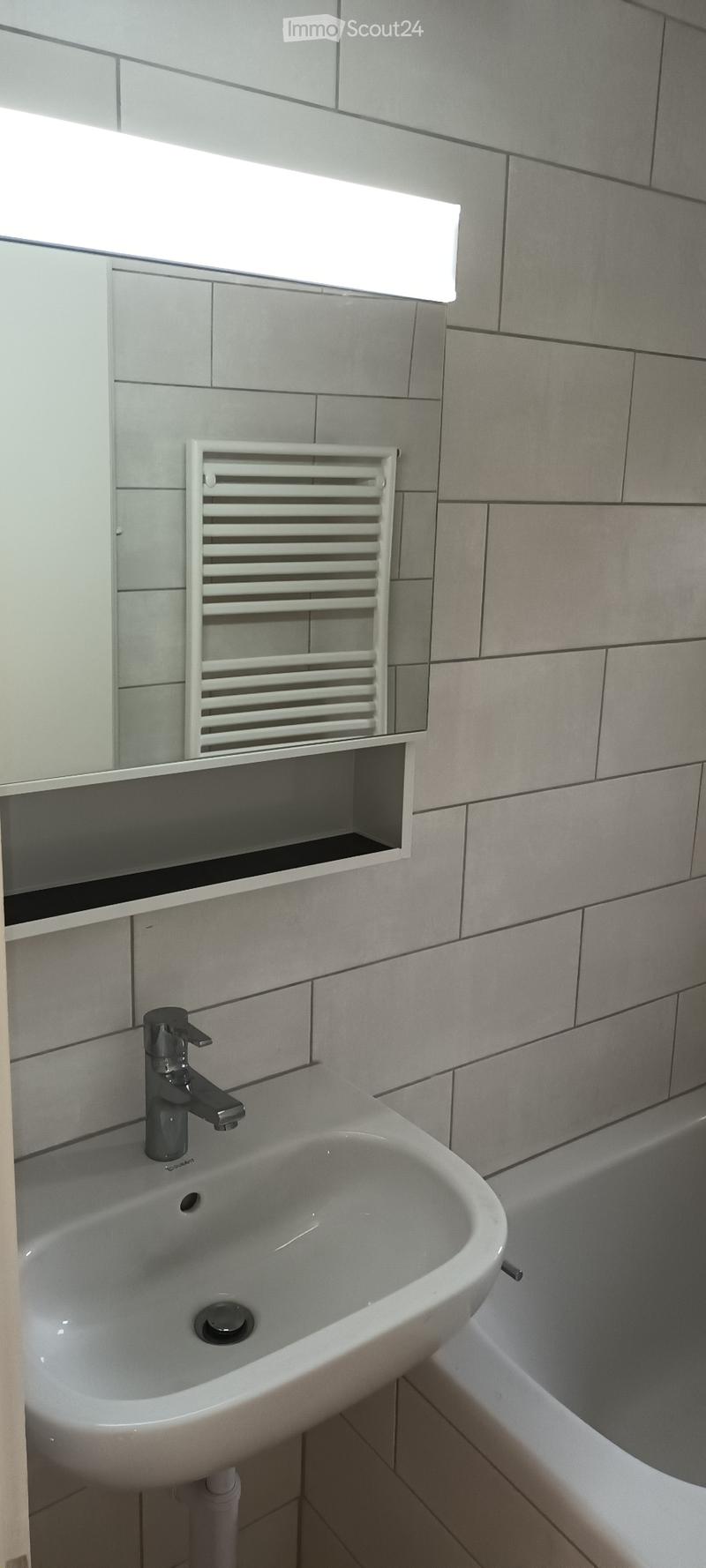 Appartement 3.5pcs rénové en 2023 (5)