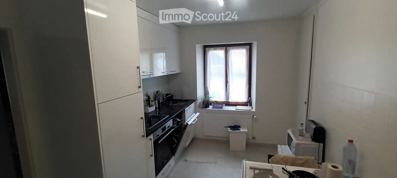 Appartement 3.5pcs rénové en 2023 (3)