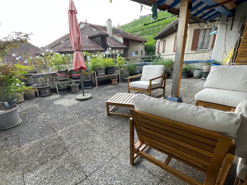Atypique! Belle chambre-loft, meublée, de 45m2, en Lavaux (9)