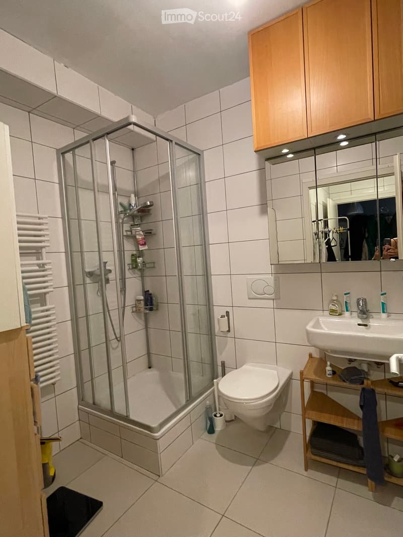 Atypique! Belle chambre-loft, meublée, de 45m2, en Lavaux (10)