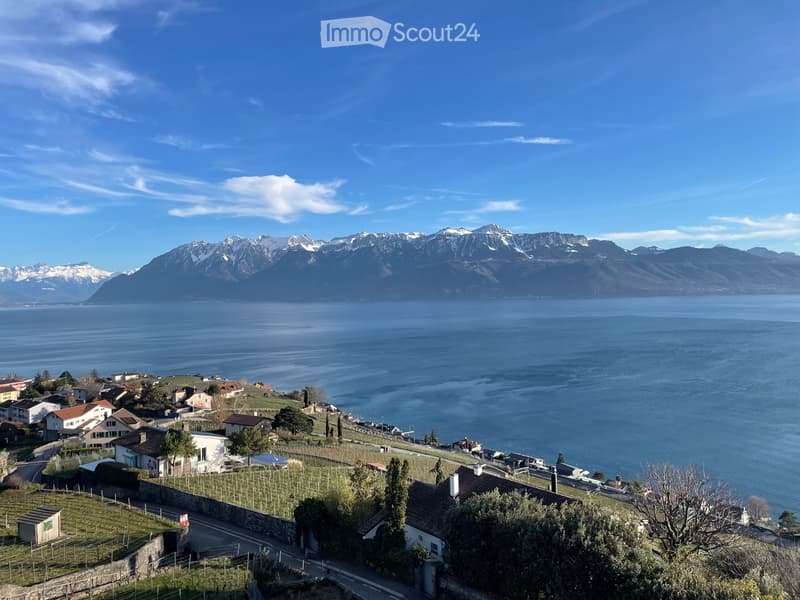 Atypique! Belle chambre-loft, meublée, de 45m2, en Lavaux (11)