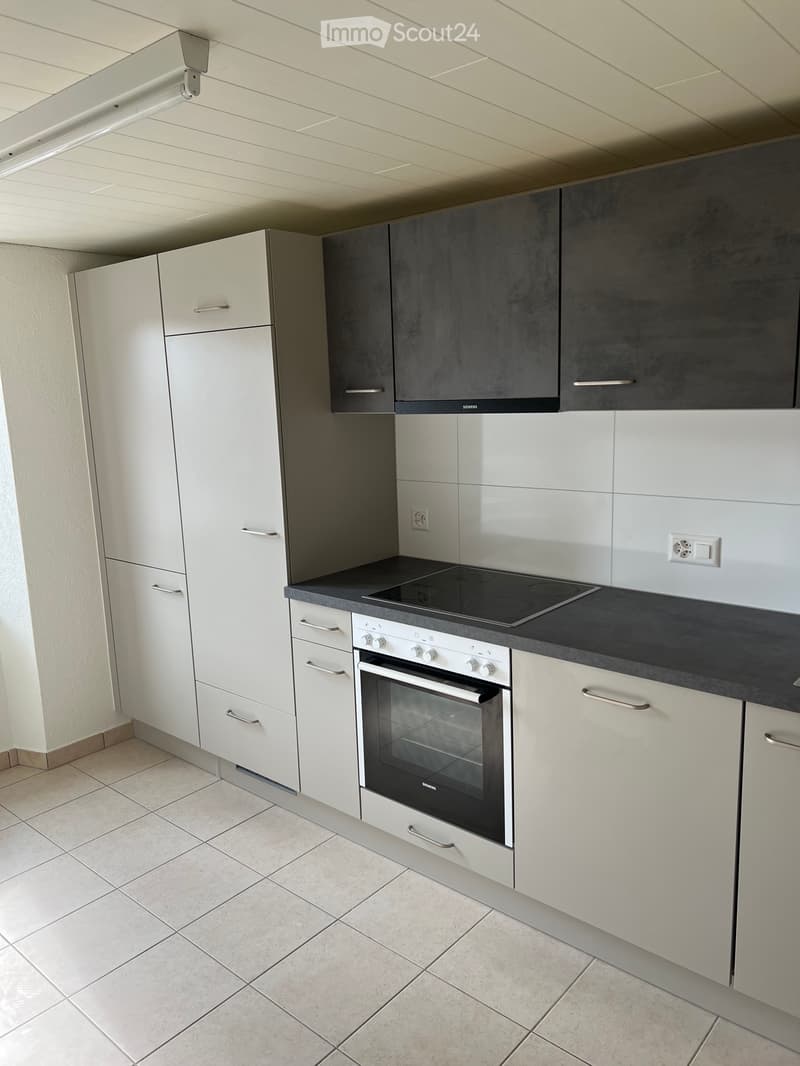 Appartement 3,5 pièces aux Verrières (3)