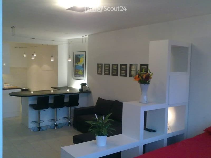 Eaux Vives Large Studio 1 Block from Lake (5)