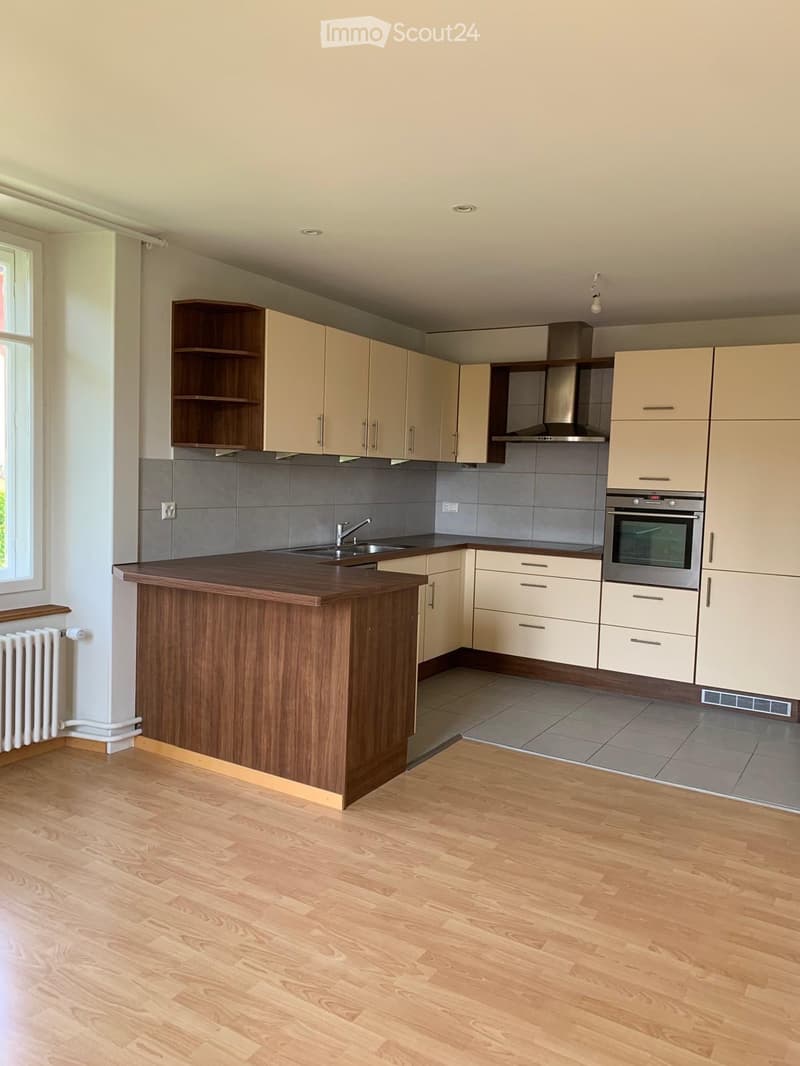 Appartement 3.5 pièces au bord du lac avec jardin privatif (2)