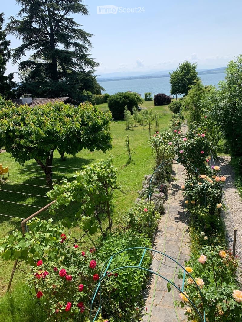Appartement 3.5 pièces au bord du lac avec jardin privatif (4)