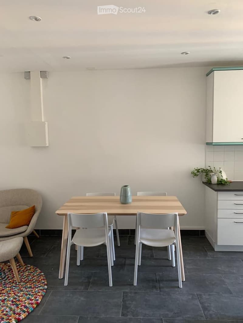 3-pièces (1 chambre) meublé, 50 m², coin calme des Pâquis (5)