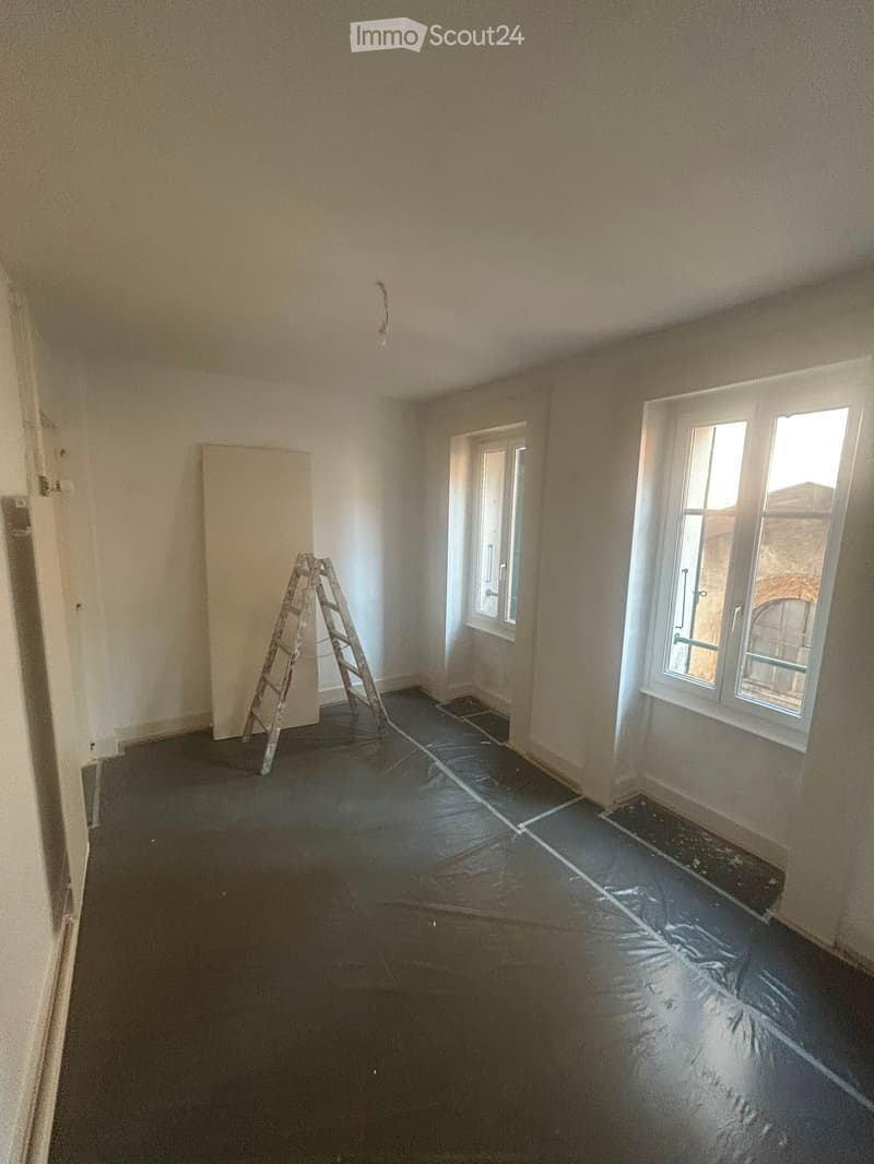 URGENT 5 pièces neuf Plainpalais (4)