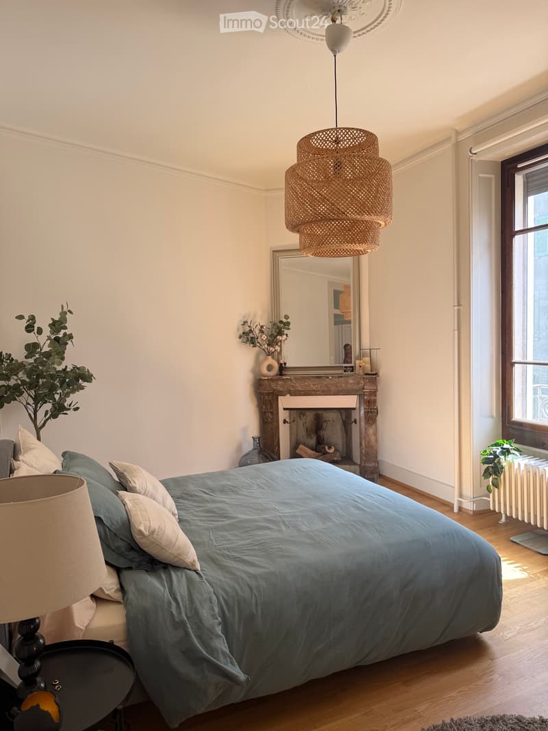 Splendide appartement 80m2 rénové dans centre de Genève (3)