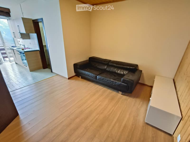 Joli appartement meublé 2.5p à louer (5)