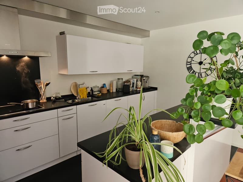 Bel appartement de 4,5 pièces avec terrasse et jardin (5)