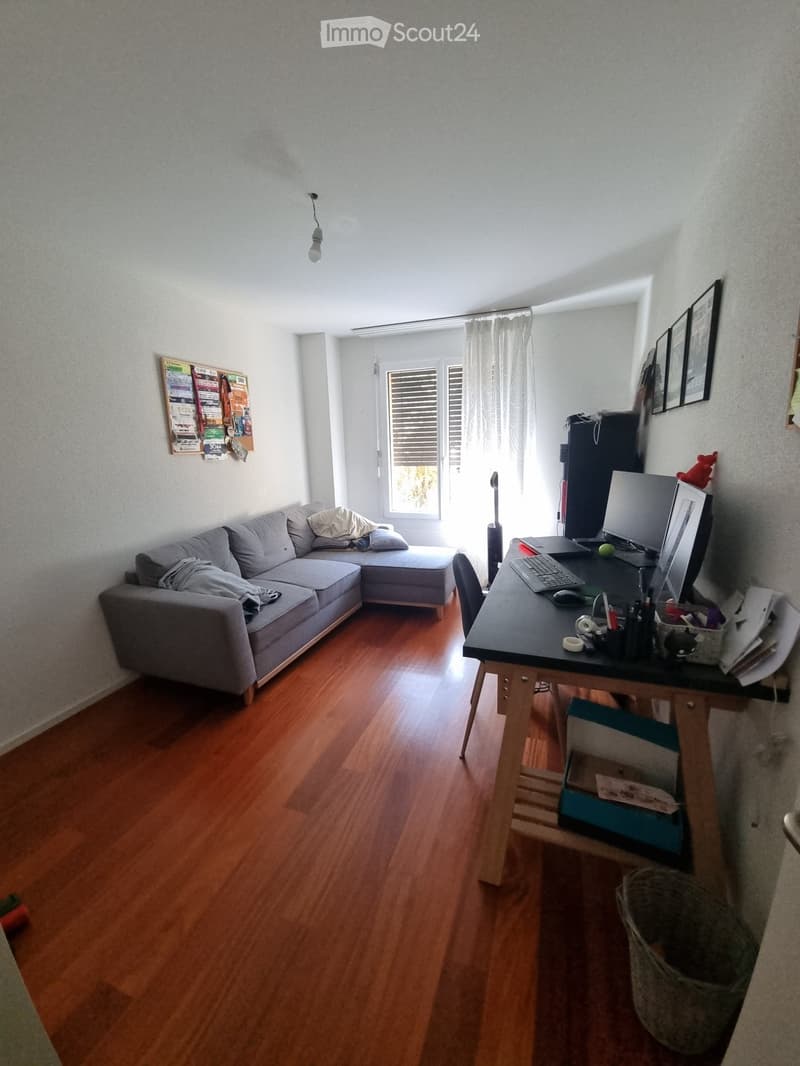 Bel appartement de 4,5 pièces avec terrasse et jardin (9)
