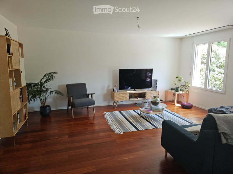 Bel appartement de 4,5 pièces avec terrasse et jardin (4)