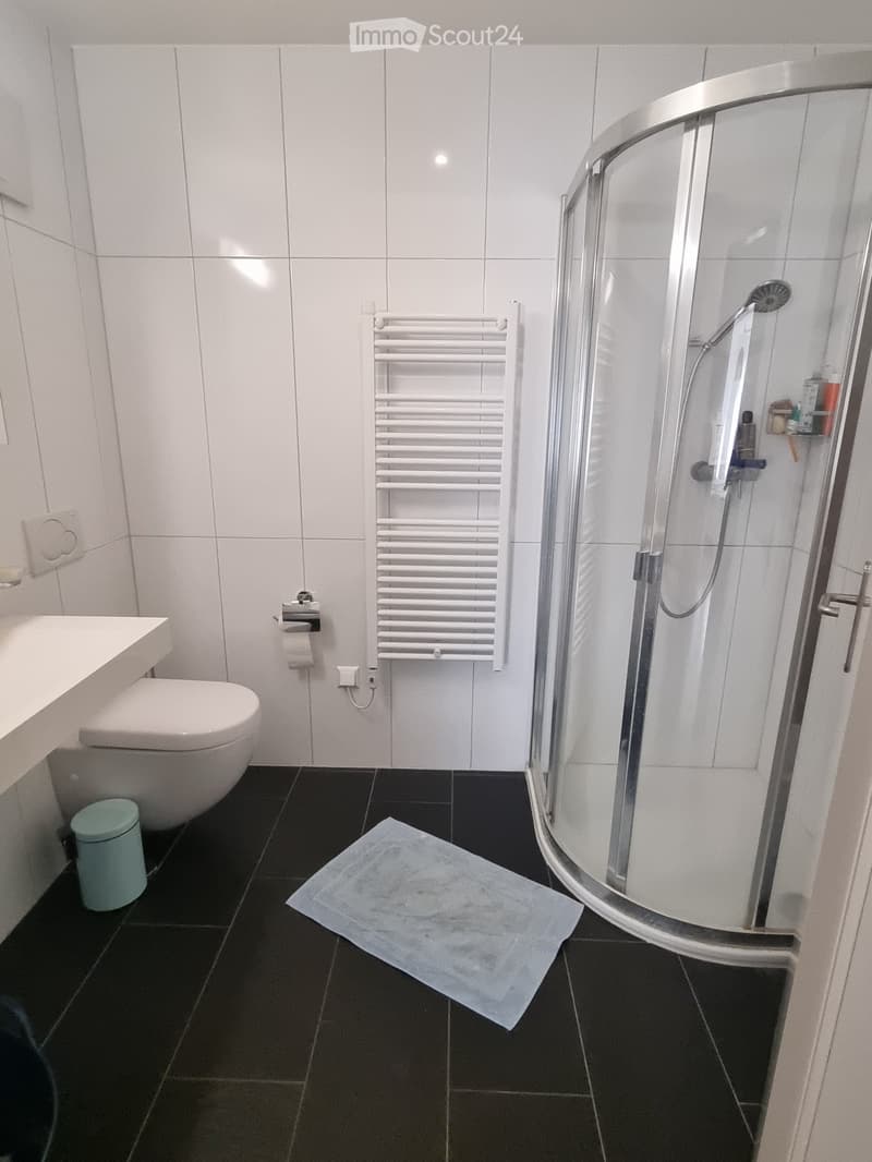 Bel appartement de 4,5 pièces avec terrasse et jardin (10)