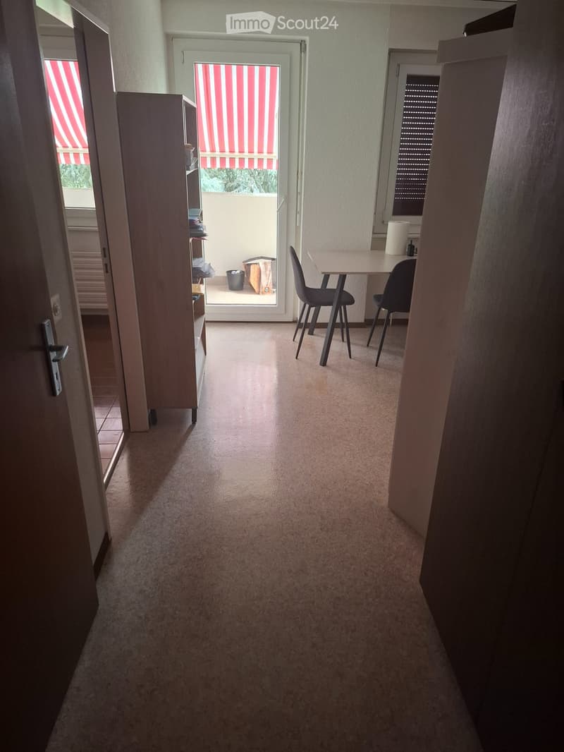 appartement à louer 1.5 pièces (2)