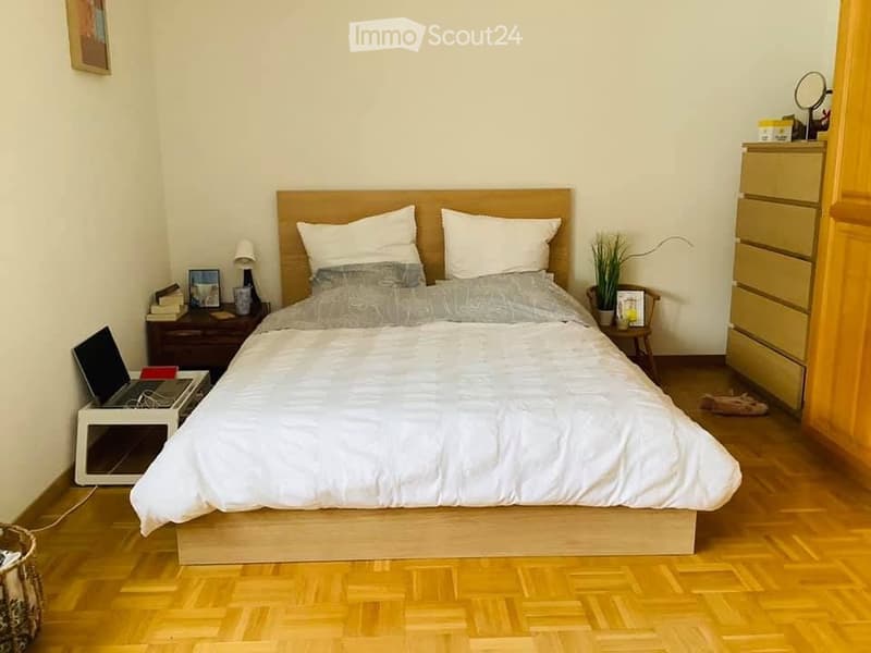 Jolie appartement lumineuse au avec vue sur les montagnes (5)