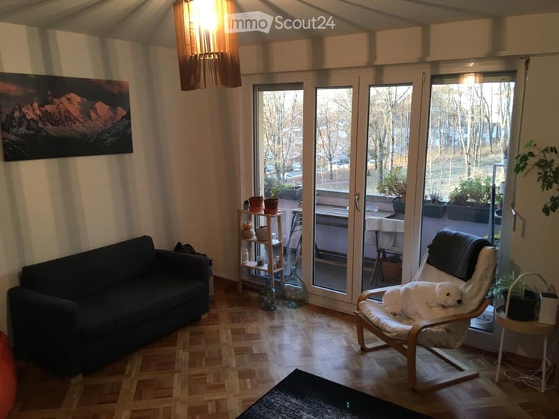 Jolie appartement lumineuse au avec vue sur les montagnes (3)