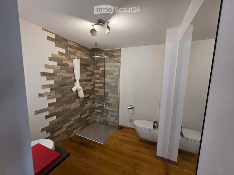 Grand studio lumineux de 60m2 (3)