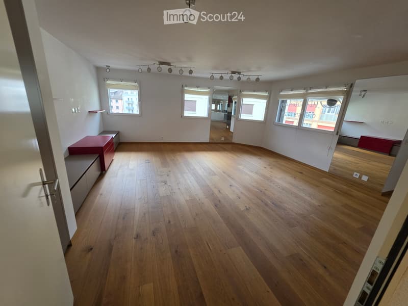 Grand studio lumineux de 60m2 (2)