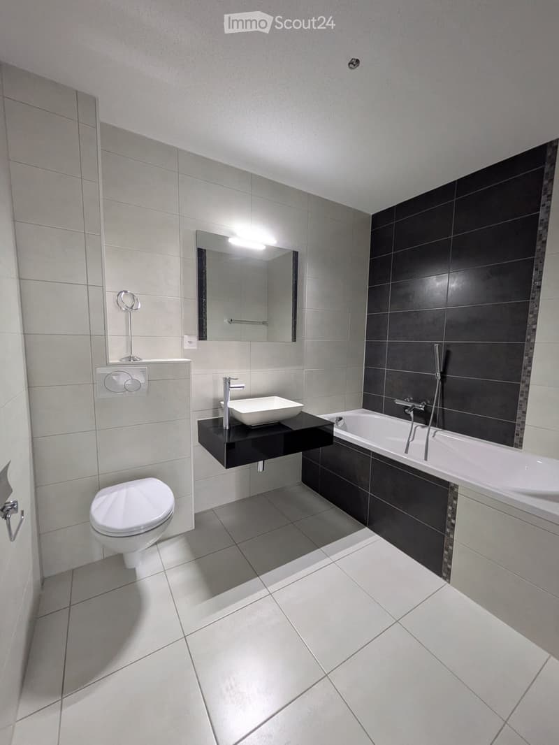 Appartement lumineux avec grand balcon (3)